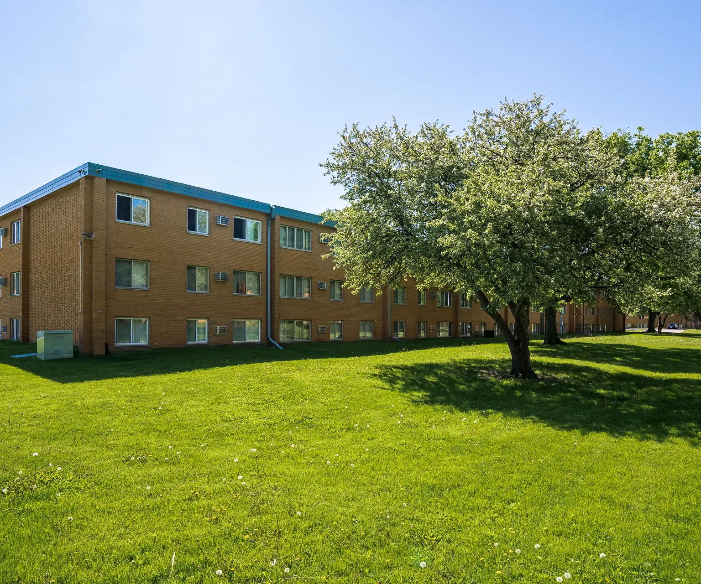 Aeon Affordable Homes A three-story brick apartment building with a grassy lawn and trees in the foreground on a clear day.