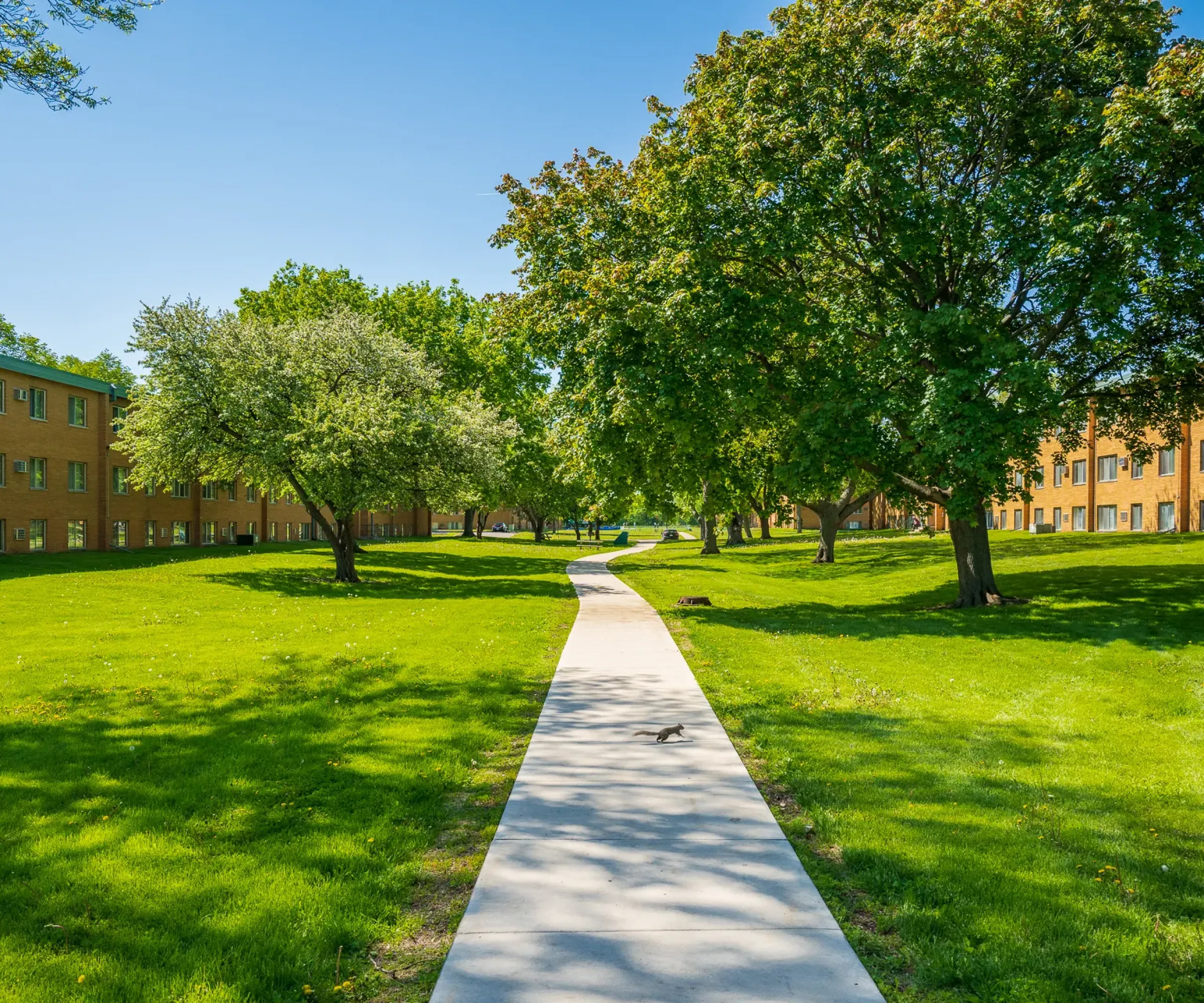 Aeon Affordable Homes A paved path through a grassy area lined with trees and two brick buildings under a clear blue sky.