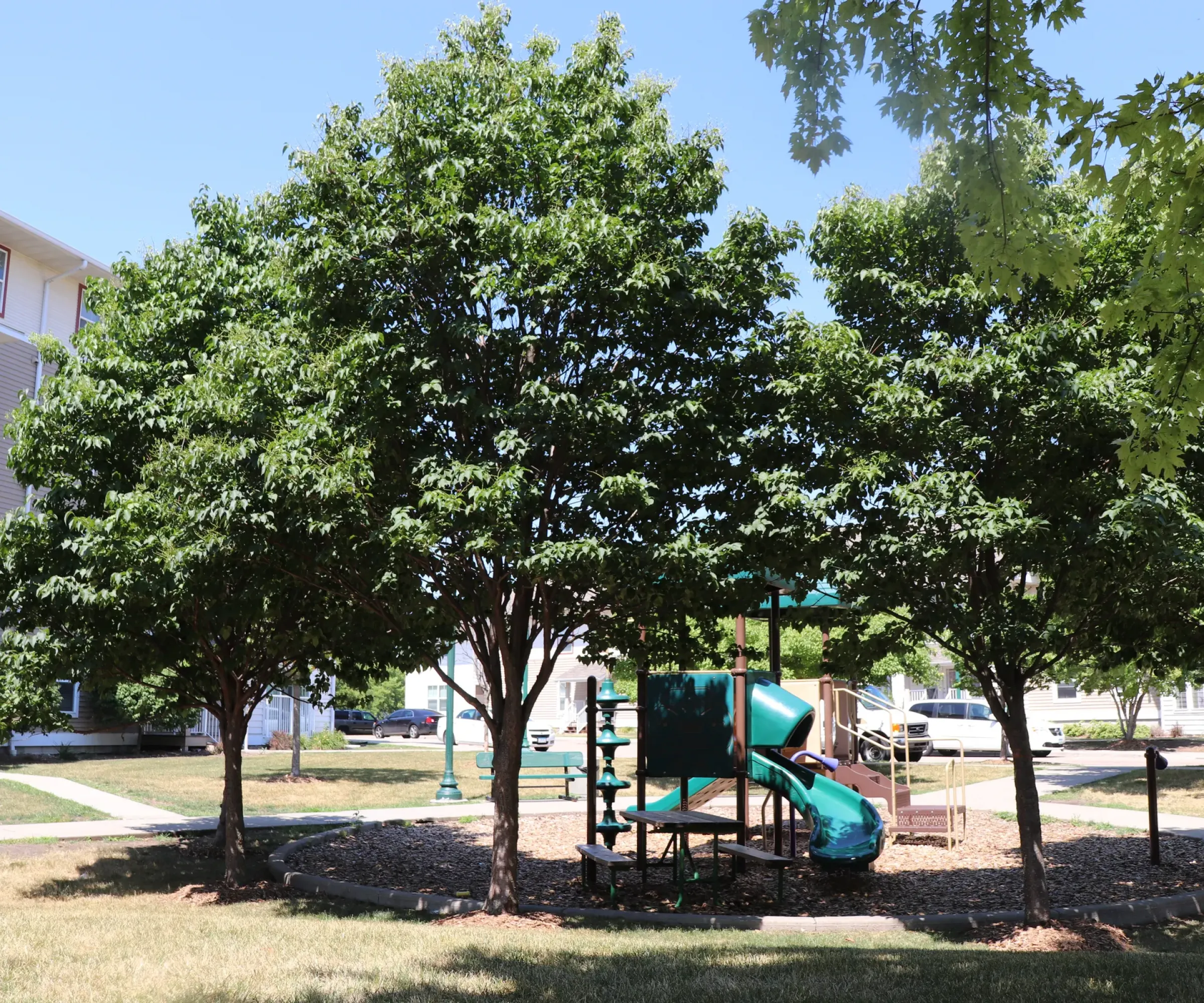 Aeon Affordable Homes and Community Playground with slides and climbing structure, surrounded by trees and affordable apartment homes in the background.