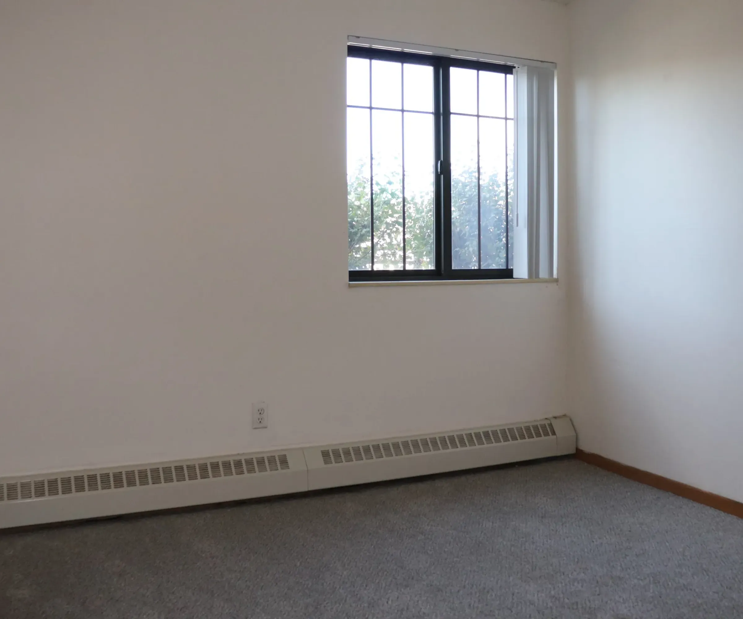 Aeon Affordable Homes and Community Affordable apartment homes featuring an empty room with gray carpet, white walls, and a window with bars. Radiator under the window.