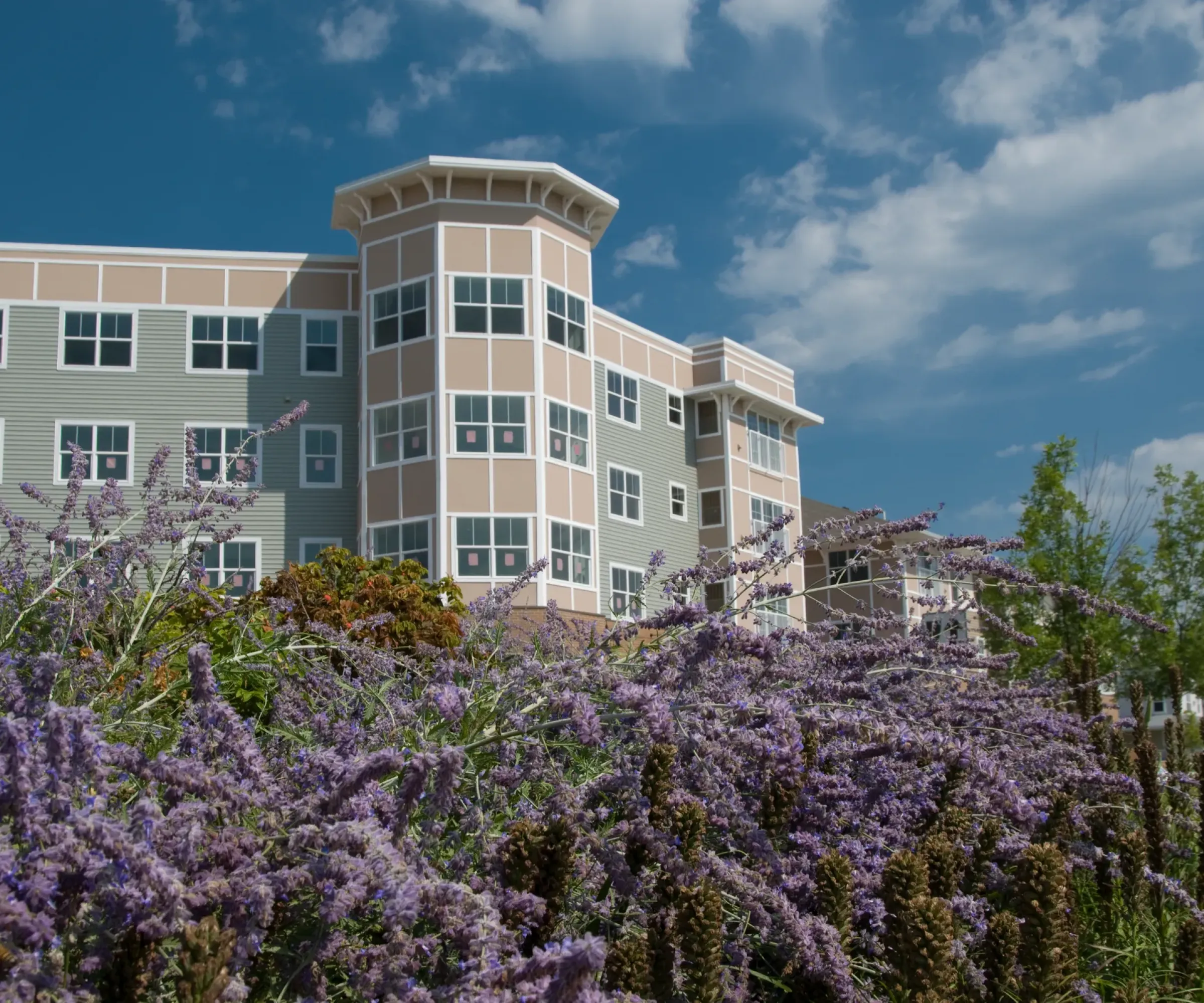 Aeon Affordable Homes and Community Affordable apartment homes stand tall behind blooming lavender, set against a blue sky with scattered clouds.