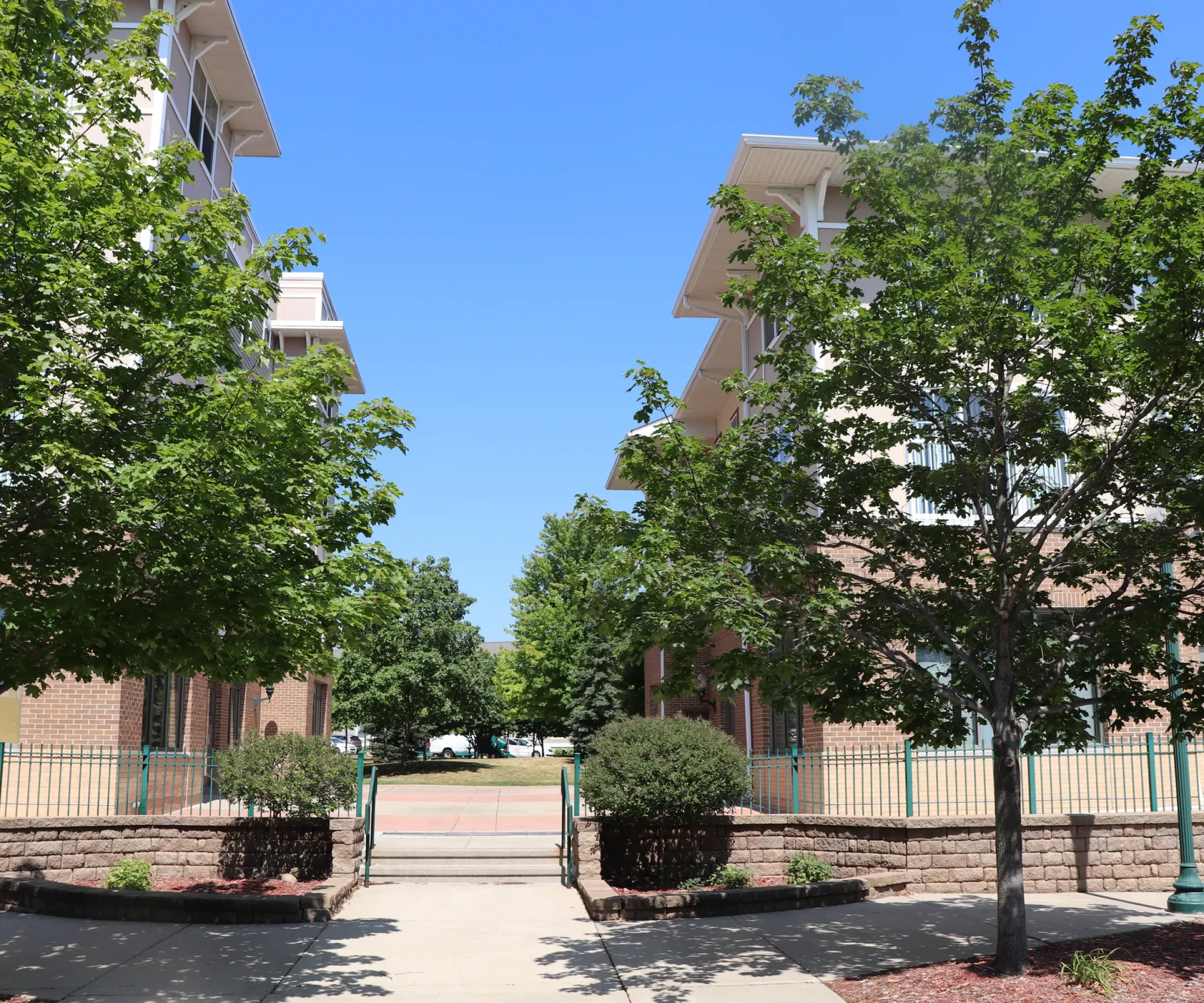 Aeon Affordable Homes and Community A sunny pathway between two buildings, lined with green trees and shrubs, leads to affordable apartment homes.