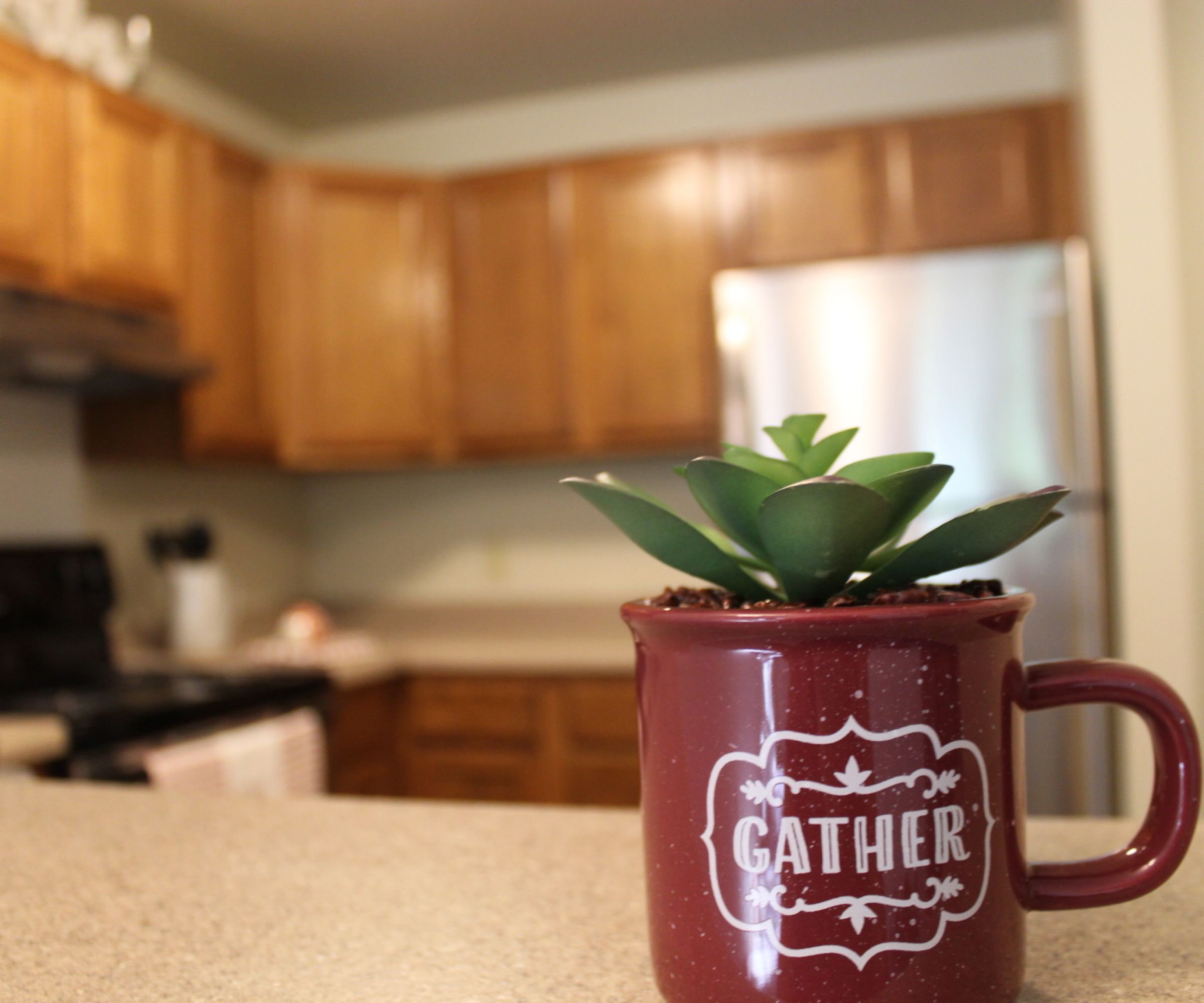 Aeon Affordable Homes and Community A small succulent in a red mug labeled "GATHER" adds charm to an affordable apartment home kitchen with wooden cabinets in the background.