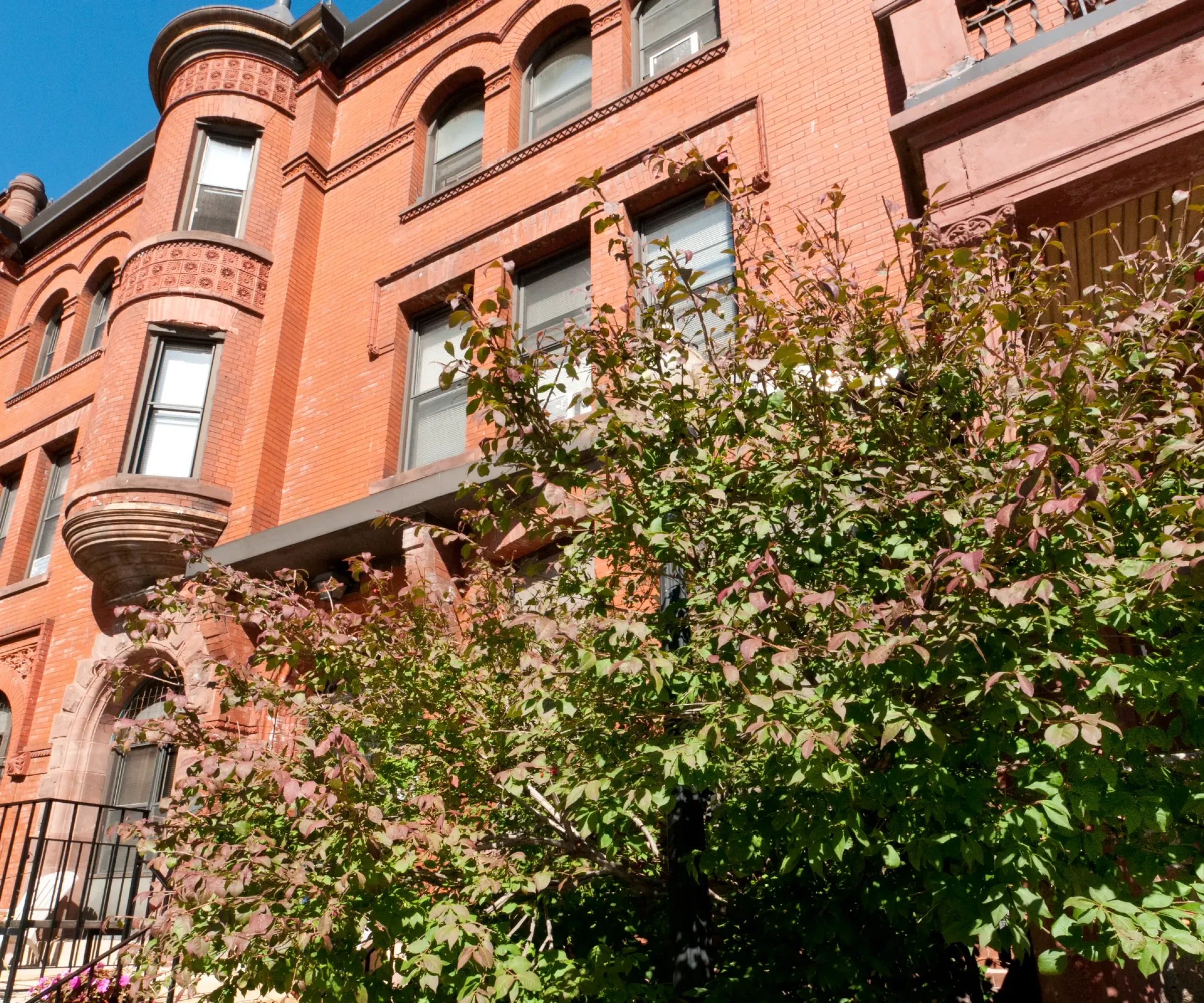Aeon Affordable Homes and Community Historic brick building with arched and bay windows offers affordable apartment homes, framed by a leafy green shrub in the foreground.