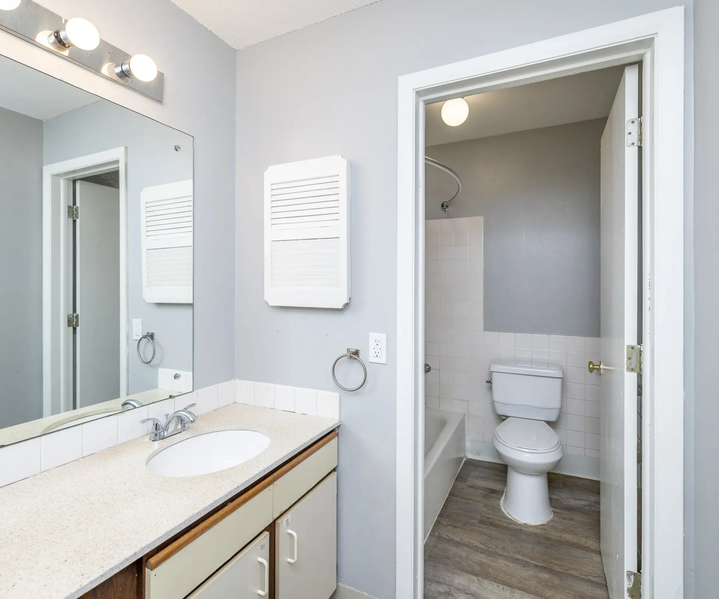 Aeon Affordable Homes Modern South bathroom with a sink, mirror, and open door leading to a toilet and bathtub in the small adjoining Blooming Meadows room.