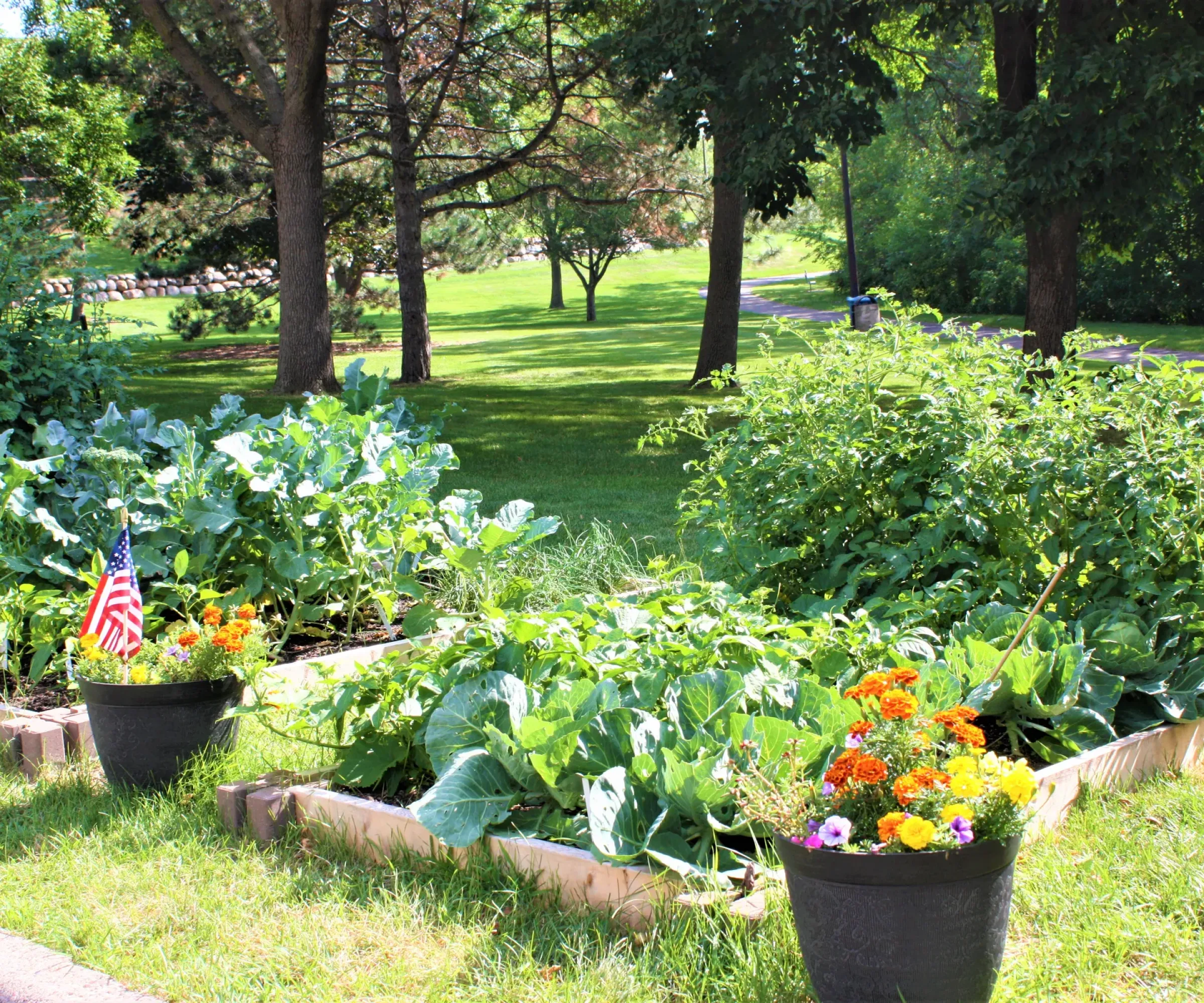 Aeon Affordable Homes and Community A vegetable garden with raised beds, potted flowers, and an American flag adorns this sunny park, reminiscent of affordable apartment homes nearby.