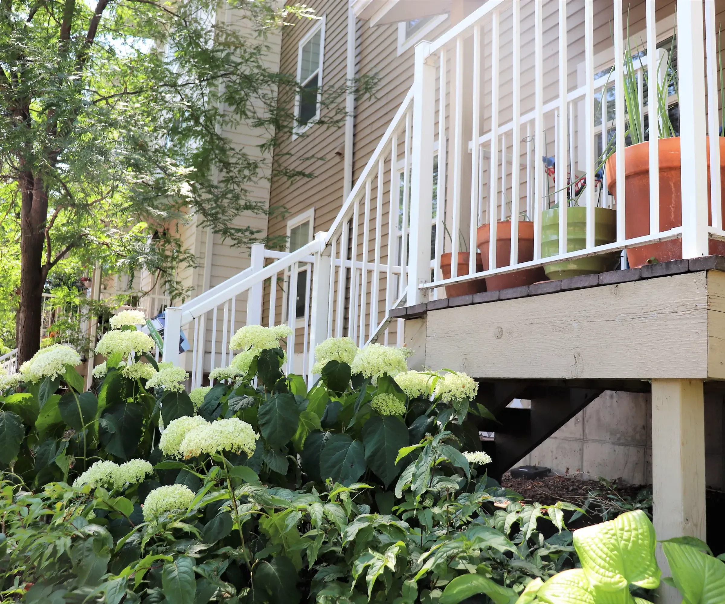 Aeon Affordable Homes and Community White hydrangeas beside an affordable apartment home with a porch showcasing potted plants and white railings.
