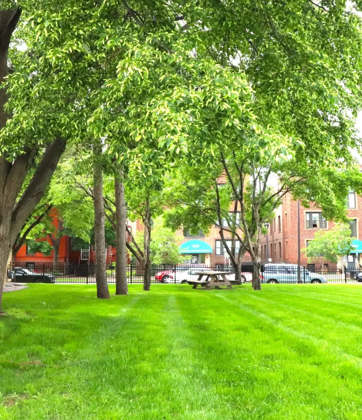 Aeon Affordable Homes and Community Lush green courtyard with trees, picnic tables, and surrounding affordable apartment homes on a bright day.