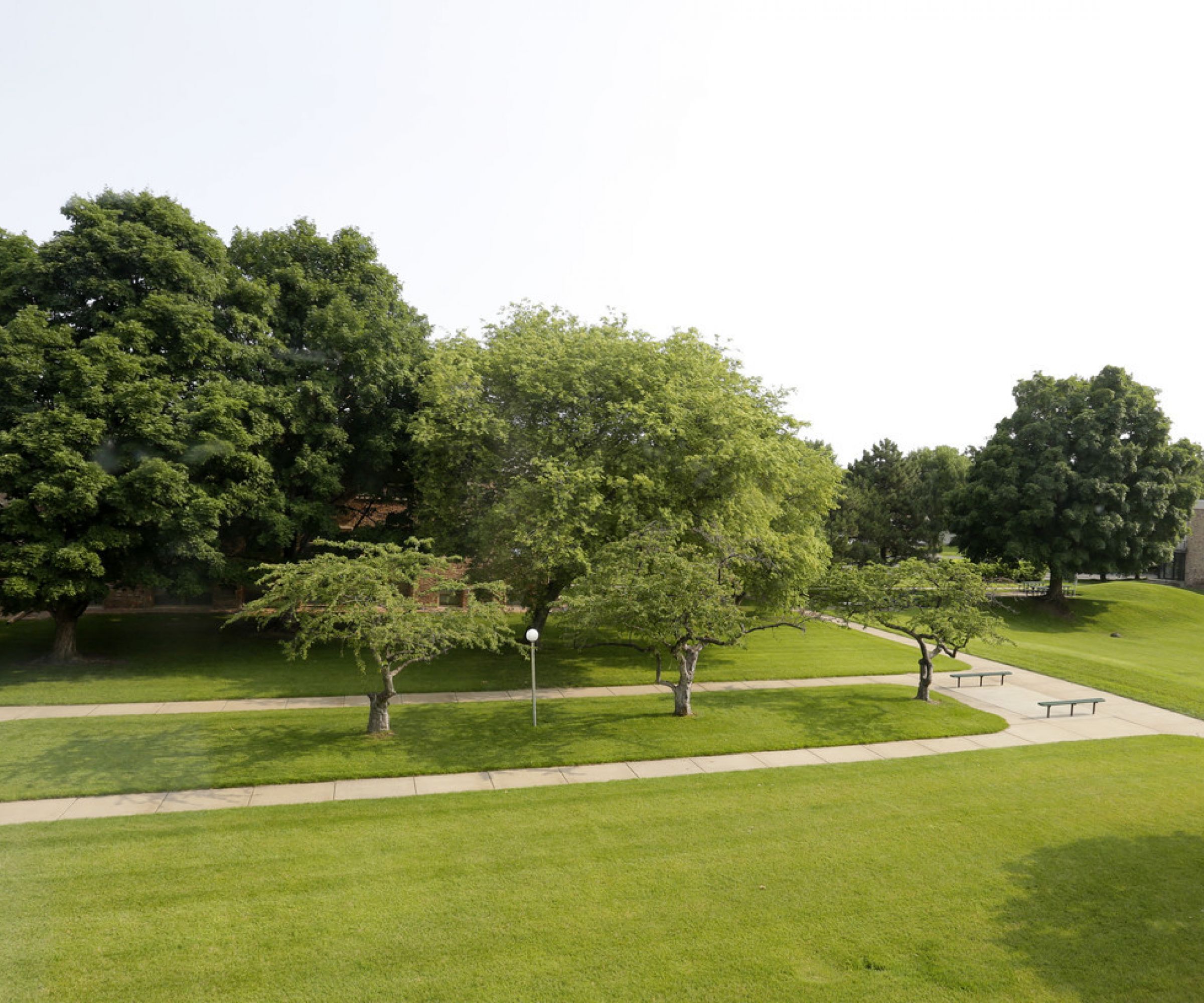 Aeon Affordable Homes and Community A park with green grass, trees, and curved walkways under a clear sky invites residents from nearby affordable apartment homes.