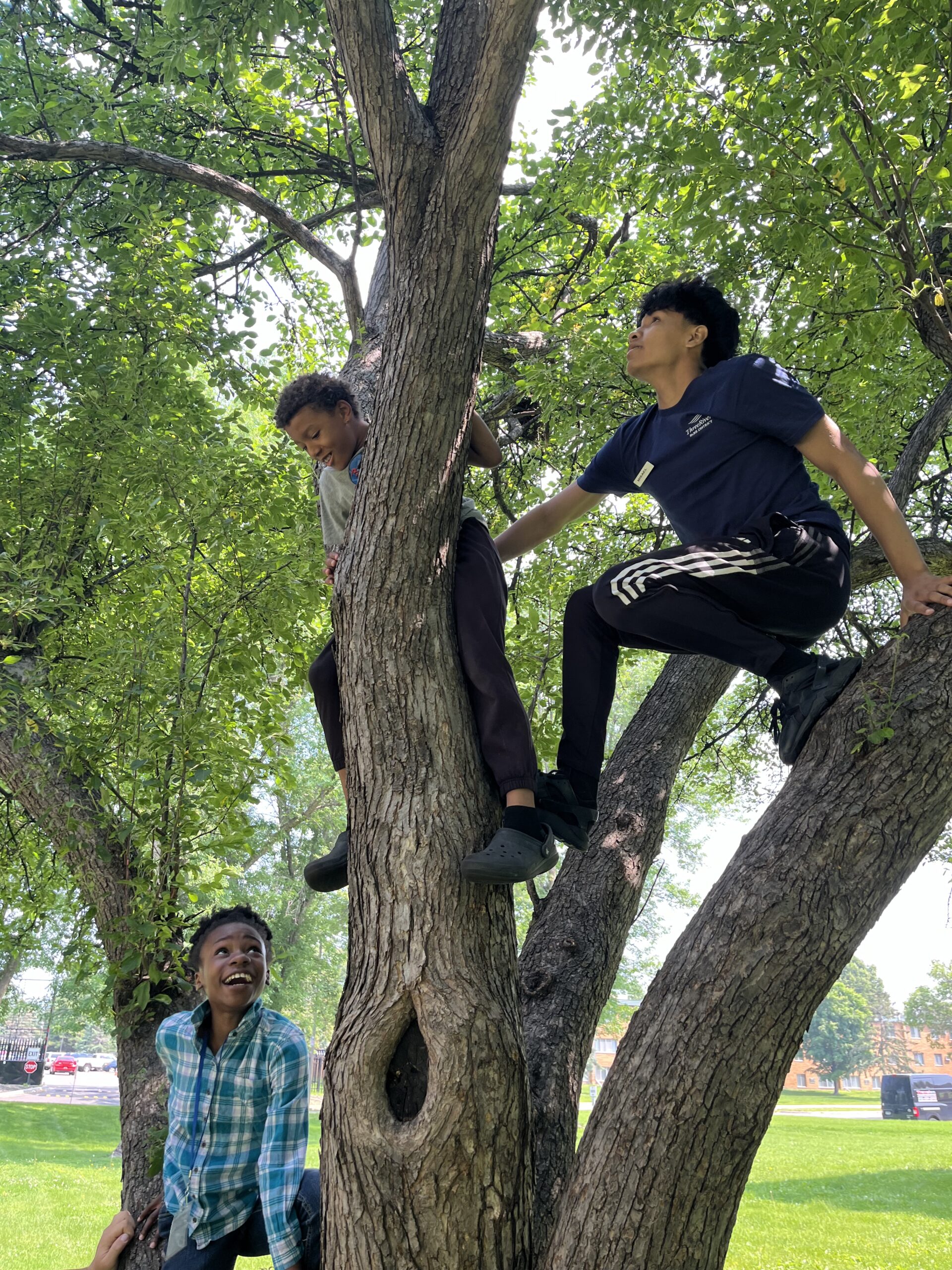 Aeon Affordable Homes Three teens climb and sit in a tree during a Summer of Learning as another smiles up at them in a sunny park.
